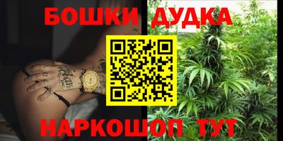 крисы Кандалакша