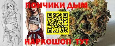 дурь Камышлов