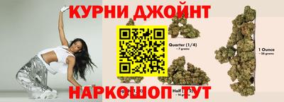 дурь Камышлов