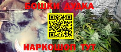 крисы Кандалакша